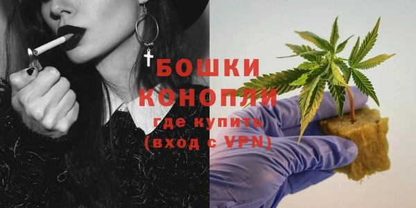 гидропоника Ладушкин