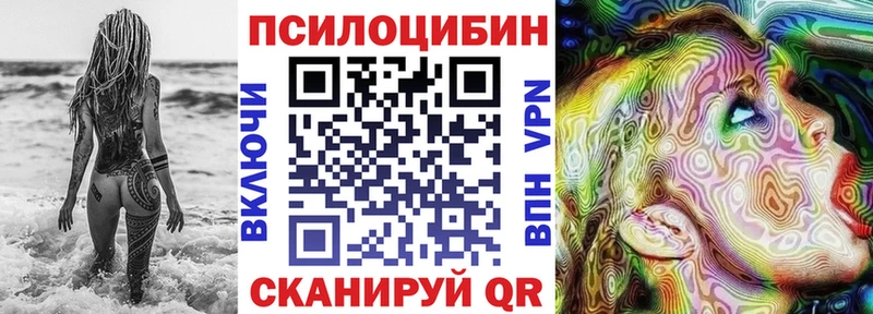 Галлюциногенные грибы Psilocybine cubensis  сколько стоит  Гдов 